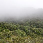  Ecuador